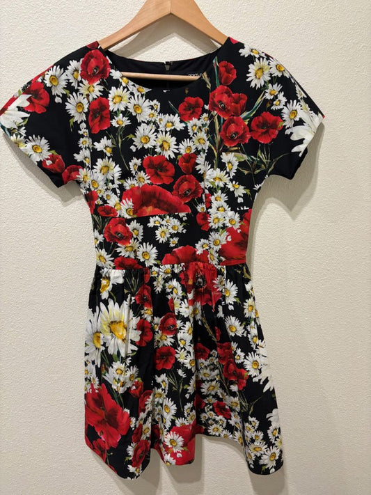 Dolce & Gabbana Multi-Color Poppy and Daisy Print Mini Dress
