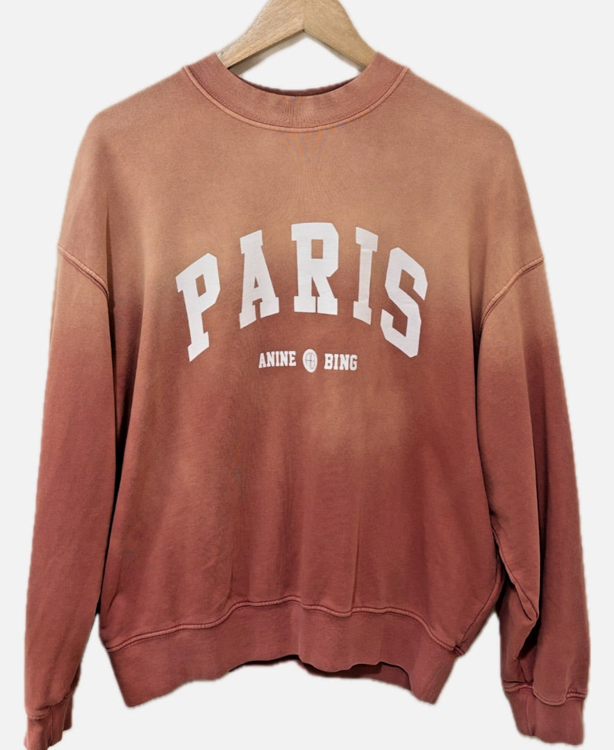 Anine Bing Gradient Oversized Sweatshirt, XS