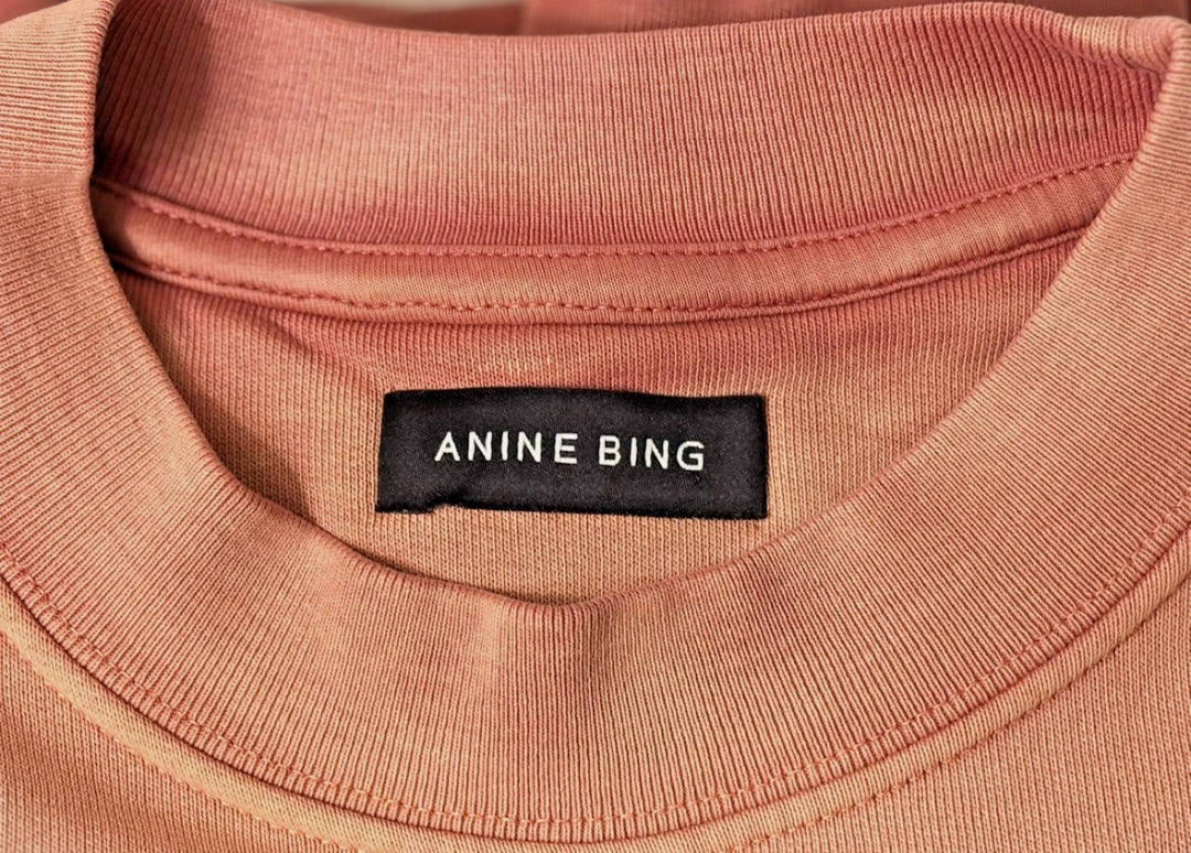 Anine Bing Gradient Oversized Sweatshirt, XS
