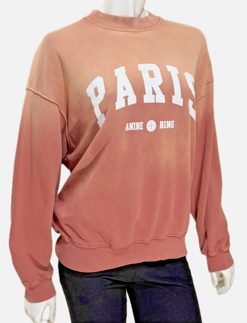 Anine Bing Gradient Oversized Sweatshirt, XS