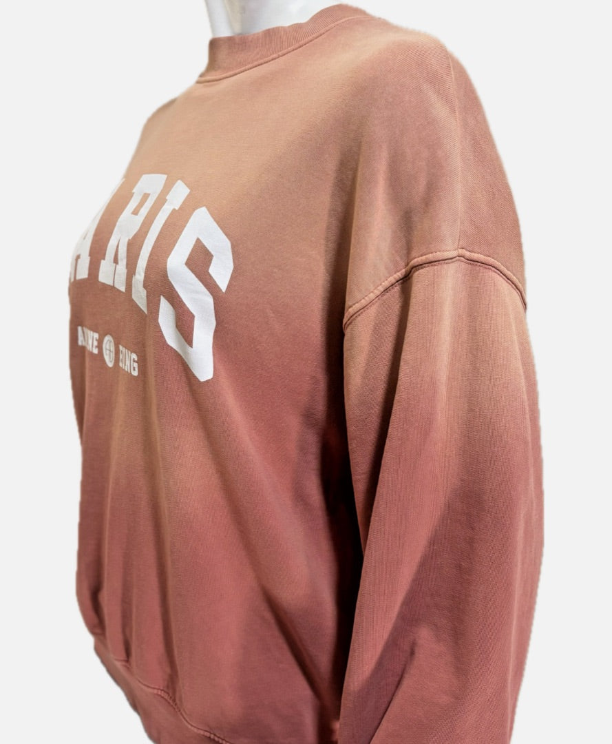 Anine Bing Gradient Oversized Sweatshirt, XS