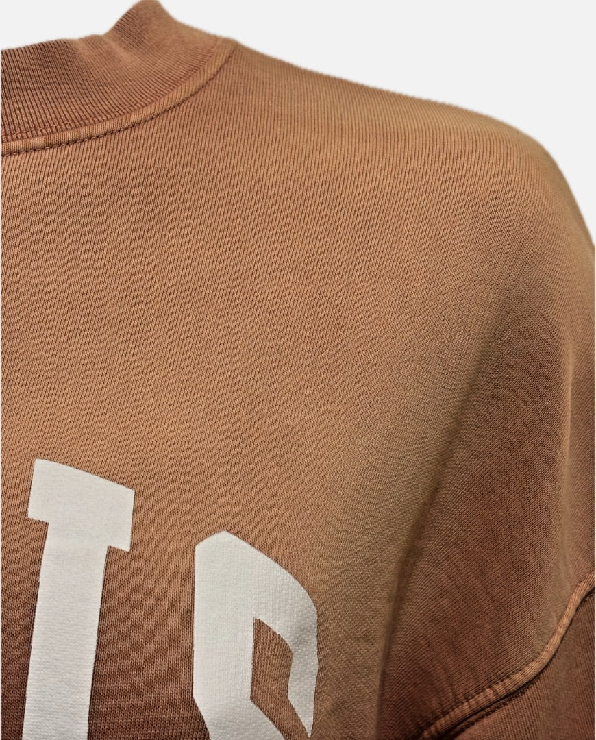 Anine Bing Gradient Oversized Sweatshirt, XS