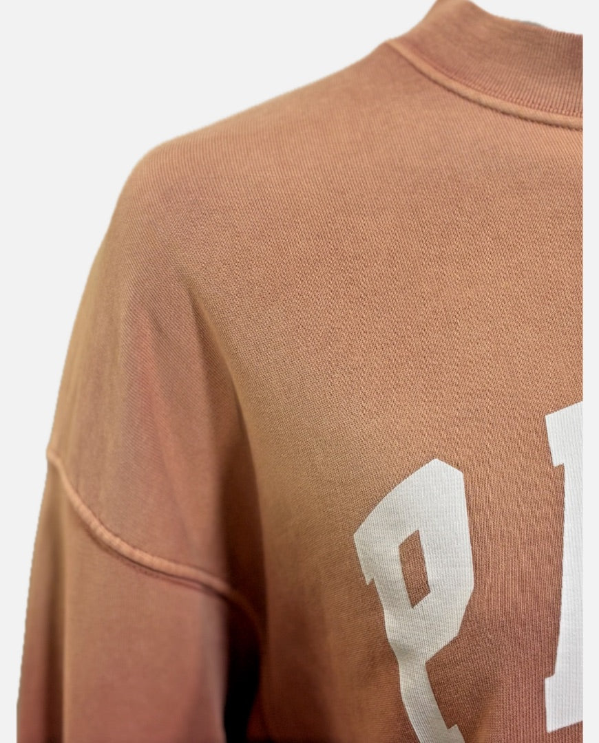 Anine Bing Gradient Oversized Sweatshirt, XS