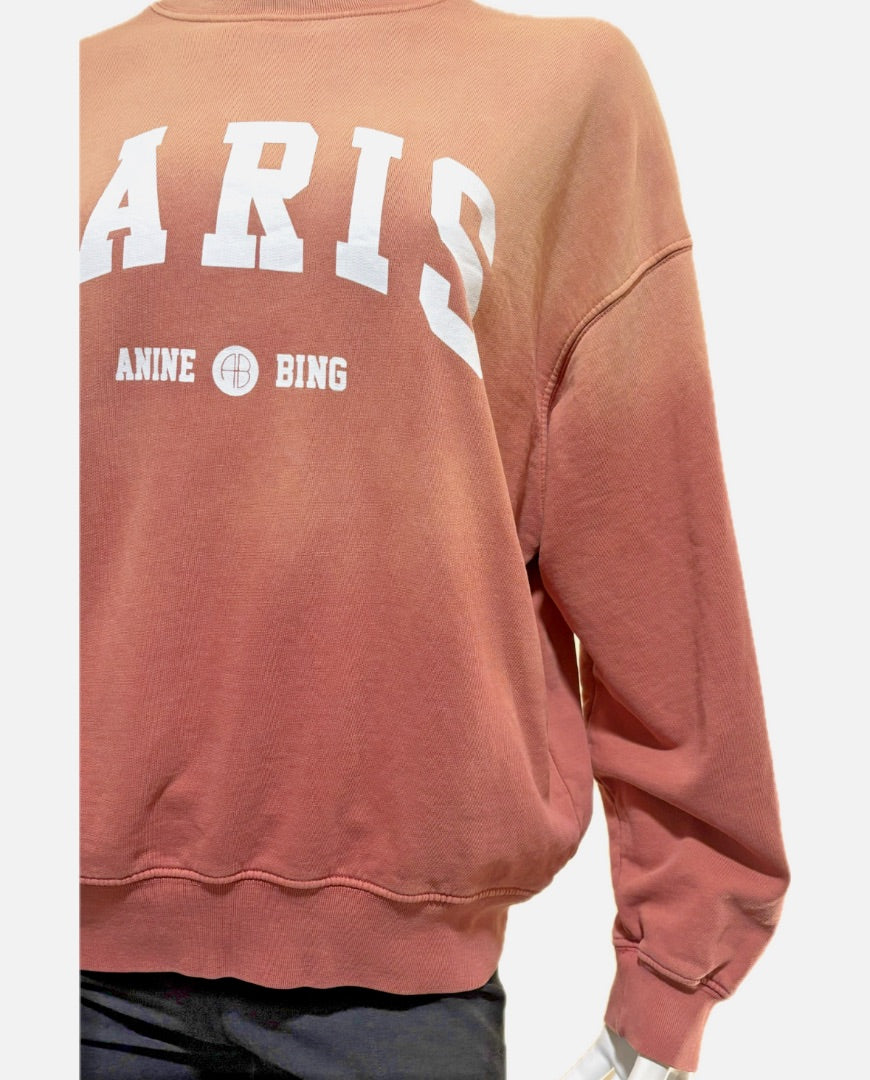Anine Bing Gradient Oversized Sweatshirt, XS
