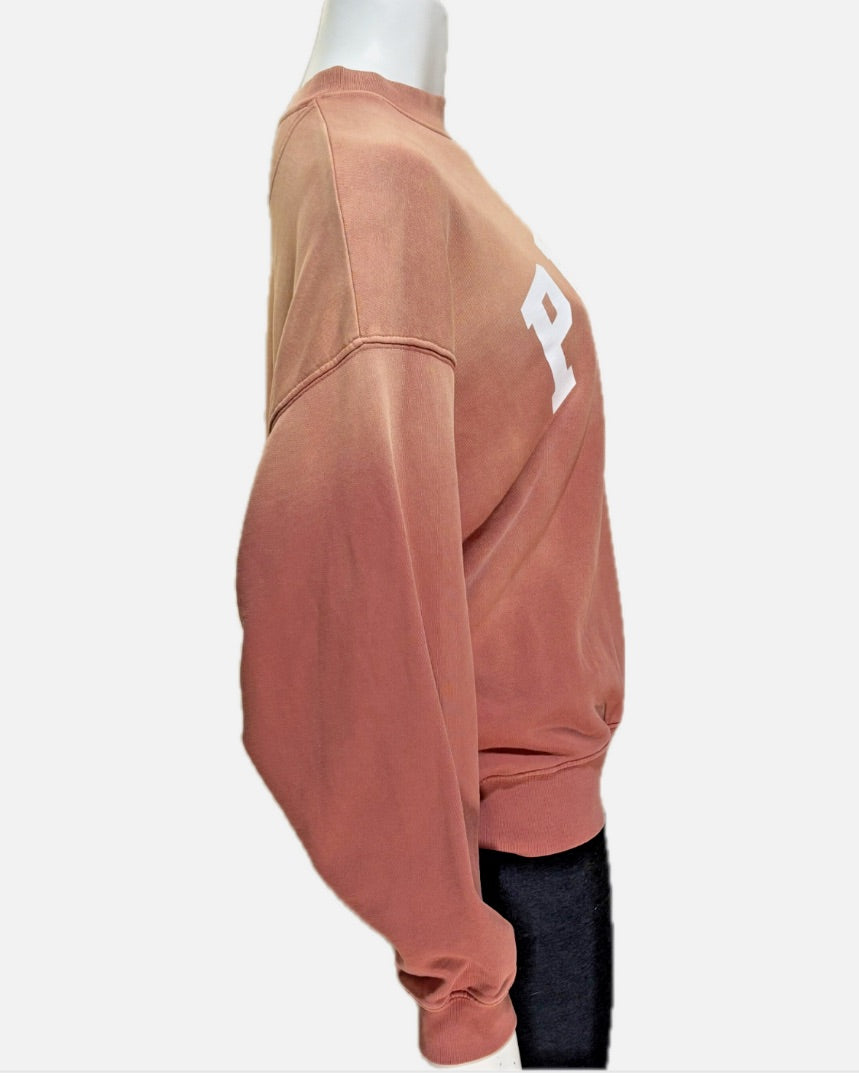Anine Bing Gradient Oversized Sweatshirt, XS